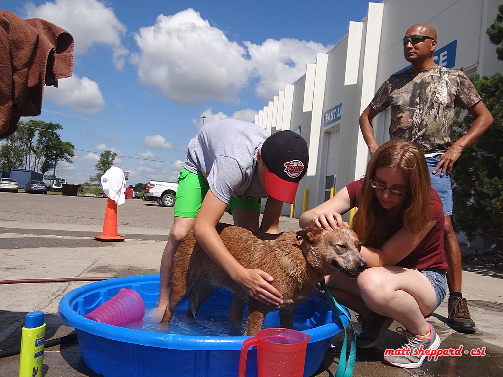 Prairie Paws Dog Wash - More Pixs by Matt at Facebook. Like & Share